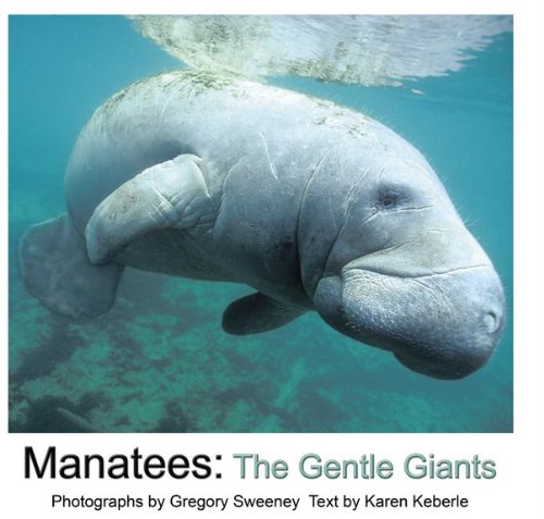 Stock image for Manatees: The Gentle Giants for sale by HPB Inc.