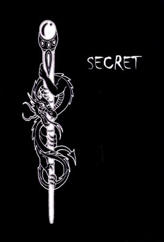 Secret Dragon Journal (9780977343201) by Audrey
