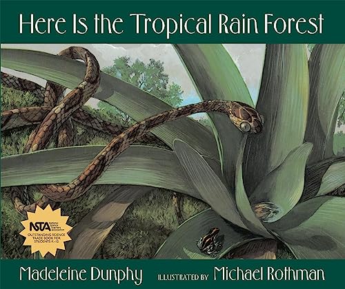 Stock image for Here Is the Tropical Rain Forest (Web of Life, 1) for sale by Half Price Books Inc.