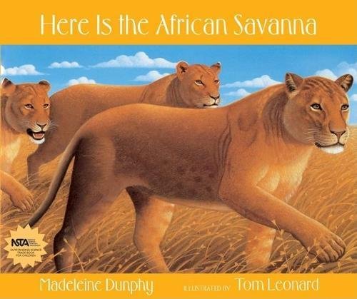 Stock image for Here Is the African Savanna (Web of Life) for sale by SecondSale