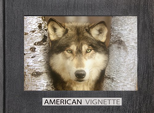 9780977457113: American Vignette