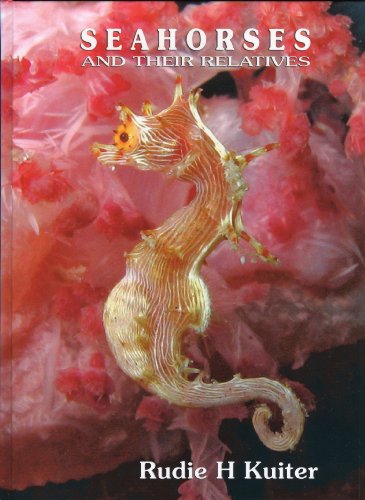 Imagen de archivo de SEAHORSES and their Relatives a la venta por HPB-Red