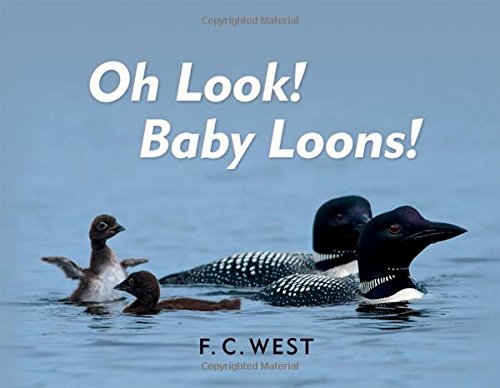 9780977667130: Oh Look! Baby Loons!