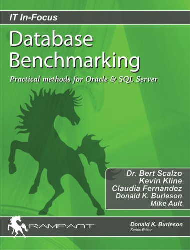 Imagen de archivo de Database Benchmarking: Practical Methods for Oracle & SQL Server (IT In-Focus series) a la venta por SecondSale