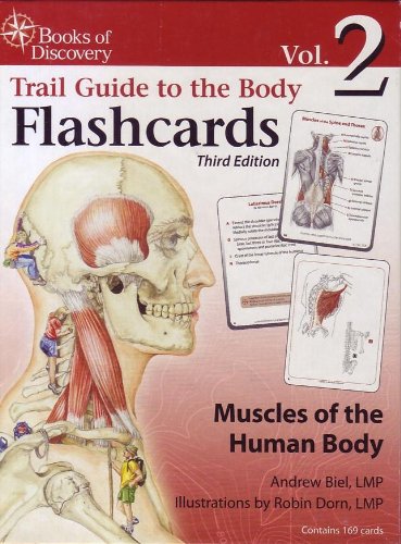 Imagen de archivo de Trail Guide to the Body Flashcards Volume 2: Muscles of the Human Body a la venta por HPB-Red