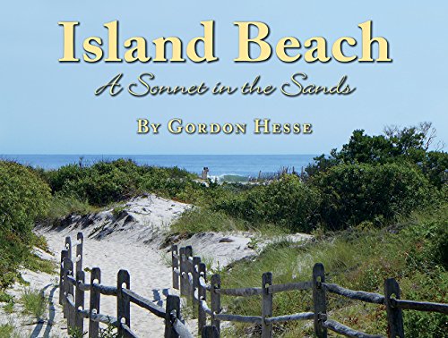 Stock image for Island Beach - A Sonnet in the Sands for sale by NWJbooks
