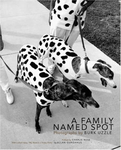 Imagen de archivo de A Family Named Spot a la venta por Daedalus Books