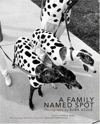 Stock image for A Family Named Spot for sale by Daedalus Books