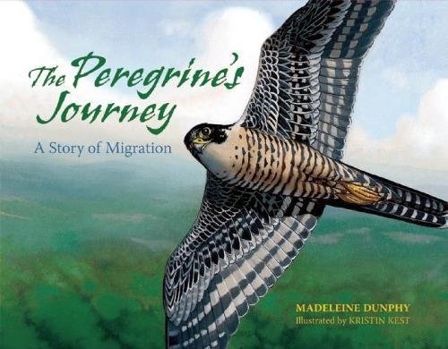 Stock image for The Peregrine's Journey: A Story of Migration (A Story of Migration, 1) for sale by HPB-Movies