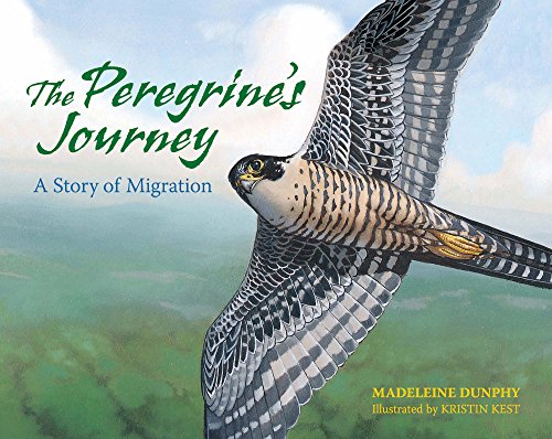 9780977753932: The Peregrine's Journey: A Story of Migration (A Story of Migration, 1)