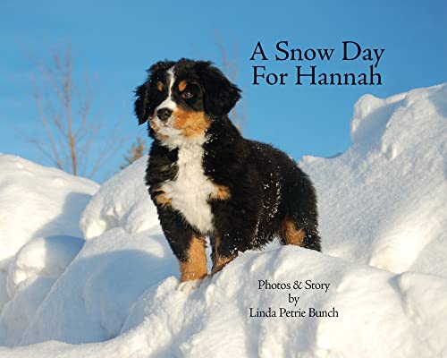 Beispielbild fr A Snow Day for Hannah (Mountain Dog Books) zum Verkauf von SecondSale