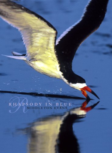 Imagen de archivo de Rhapsody in Blue : A Celebration of North American Waterbirds a la venta por Better World Books