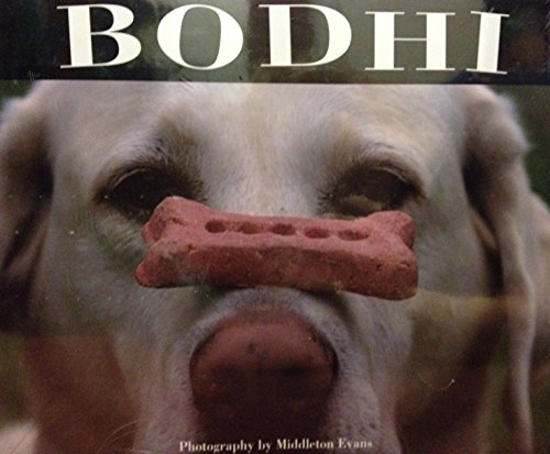 Imagen de archivo de Bodhi: The All American Lodge Dog a la venta por BookHolders