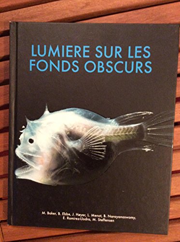 Stock image for Lumire sur les fonds obscurs for sale by Lioudalivre