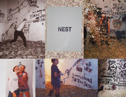 Dash Snow & Dan Colen: Nest (9780977868698) by Grayson, Kathy