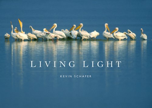 Stock image for Living Light for sale by Eureka Books