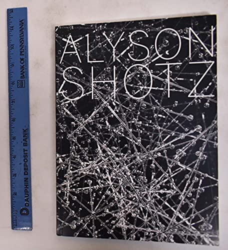 Stock image for Alyson Shotz for sale by Hennessey + Ingalls