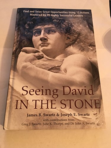 Stock image for Seeing David in the Stone for sale by Gulf Coast Books