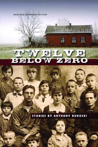 Stock image for Twelve below Zero : New and Expanded Edition for sale by Better World Books