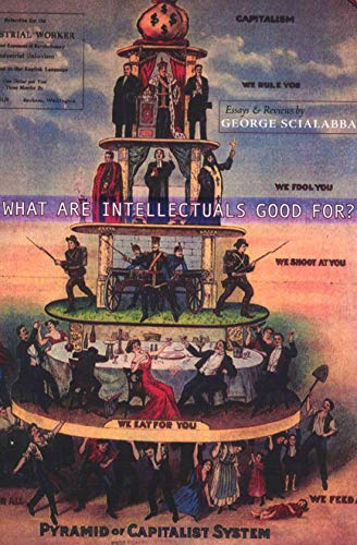 Imagen de archivo de What Are Intellectuals Good For? a la venta por Ergodebooks