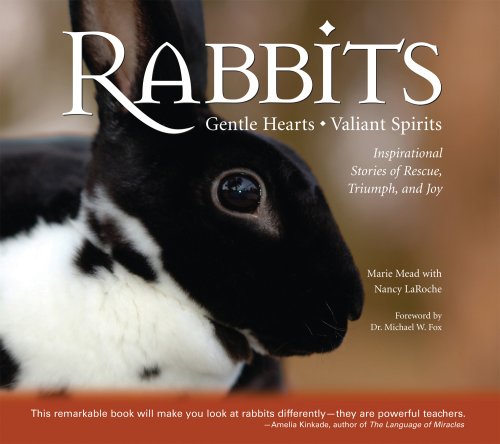 Stock image for Rabbits: Gentle Hearts Valiant Spirits: Inspirational Stories of Rescue, Triumph, and Joy for sale by Wonder Book