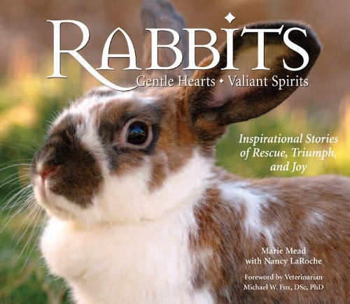 Stock image for Rabbits: Gentle Hearts, Valiant Spirits for sale by HPB-Ruby