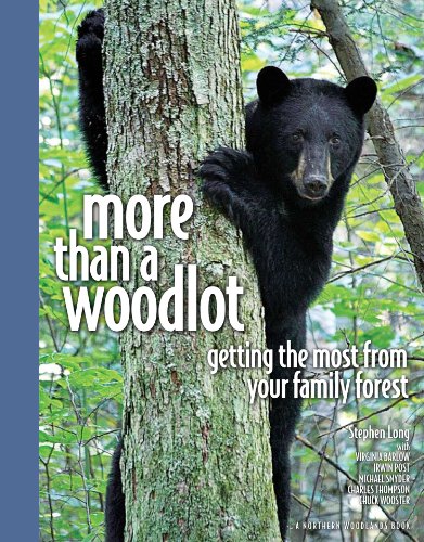 More Than a Woodlot Getting the Most from Your Family Forest (9780978659943) by Long, Stephen