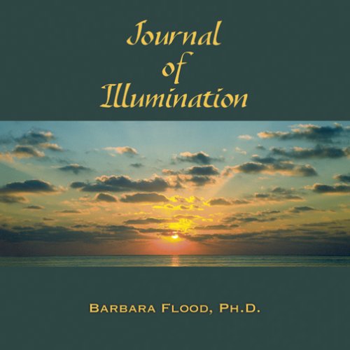 Imagen de archivo de Jounal of Illumination a la venta por Bookmans