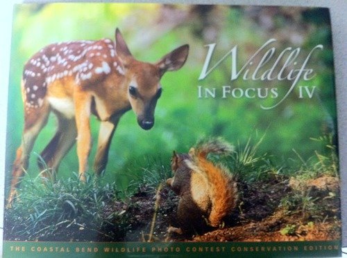 Imagen de archivo de Wildlife in Focus IV (Conservation Edition) a la venta por Half Price Books Inc.