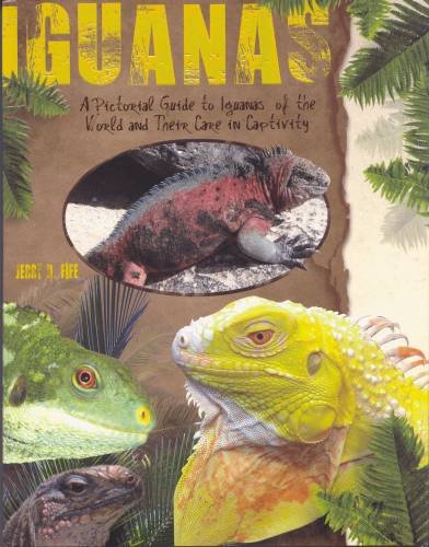 Stock image for Iguanas, A Pictorial Guide to Iguanas of the World and Their Care in Captivity for sale by Friends of  Pima County Public Library