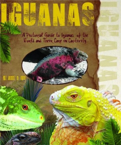 Stock image for A Pictorial Guide to Iguanas of the World for sale by KuleliBooks