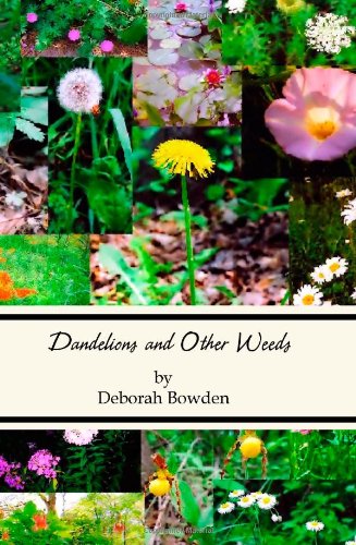 Imagen de archivo de Dandelions and Other Weeds a la venta por HPB-Emerald