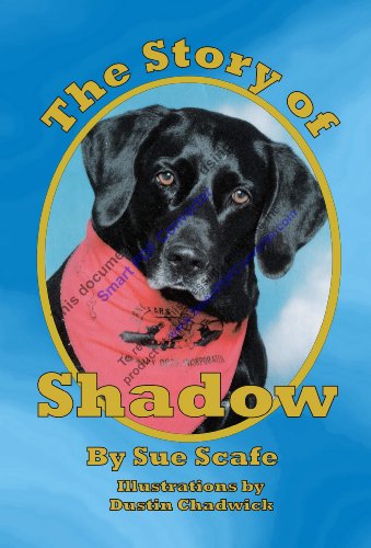Stock image for The Story of Shadow for sale by -OnTimeBooks-