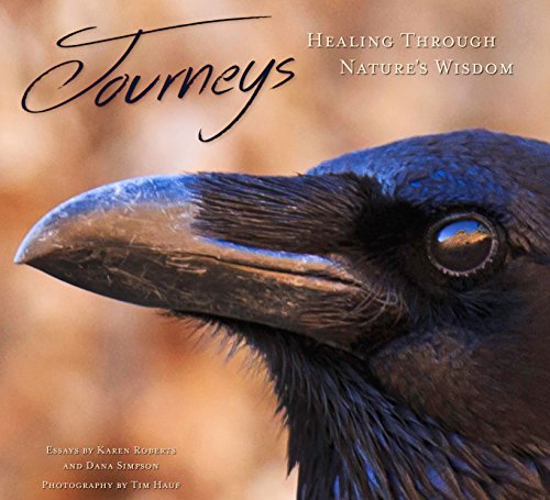 9780978821975: Journeys: Healing Through Natures Wisdom