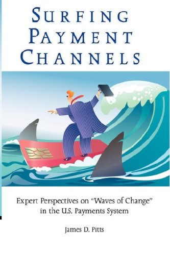 Surfing Payment Channels: Expert Perspectives on 