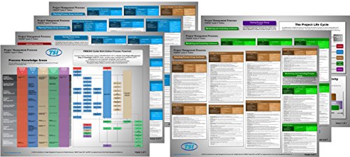 9780978870874: Project Management Process Posters 5th Edition - 18" x 24"