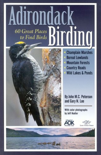 9780978925437: Adirondack Birding: 60 Great Places to Find Birds