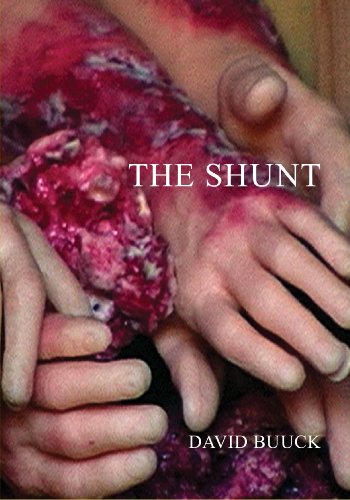 The Shunt (9780978926281) by Buuck, David