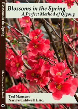 Beispielbild fr Blossoms in the Spring: A Perfect Method of Qigong zum Verkauf von HPB-Red