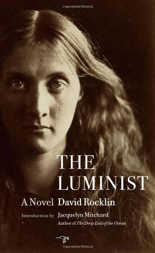 Imagen de archivo de The Luminist: A Novel a la venta por Wonder Book