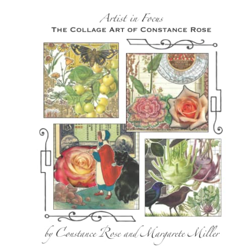 Stock image for Artist in Focus: The Collage Art of Connie Rose for sale by Book Deals