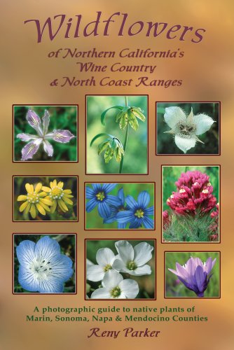 Stock image for Wildflowers of Northern California's Wine Country North Coast Ranges for sale by Front Cover Books