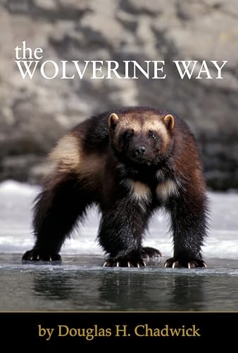 Stock image for The Wolverine Way for sale by Friends of  Pima County Public Library