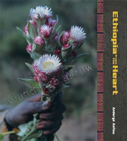 Stock image for Ethiopia from the Heart (Signed) for sale by Sequitur Books