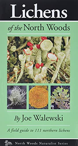Stock image for Lichens of the North Woods (Naturalist Series) for sale by HPB-Diamond