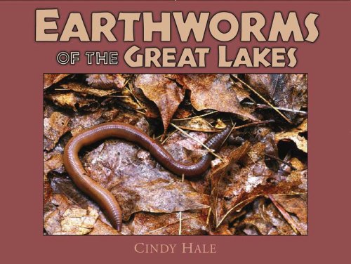 Stock image for Earthworms of the Great Lakes for sale by Better World Books