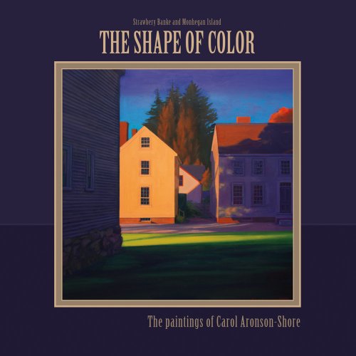 Imagen de archivo de The Shape of Color a la venta por Sheafe Street Books