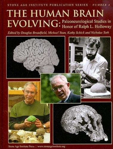 Stock image for The Human Brain Evolving: Paleoneurological Studies in Honor of Ralph L. Holloway (Stone Age Institute Publication) for sale by The Happy Book Stack