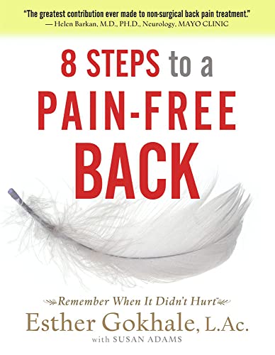 Stock image for 8 Steps to a Pain-Free Back: Natural Posture Solutions for Pain in the Back, Neck, Shoulder, Hip, Knee, and Foot for sale by HPB-Diamond