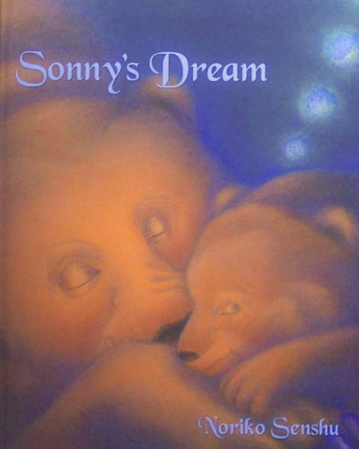 9780979336003: Sonny's Dream: A story which teaches children how to conquer their fears.